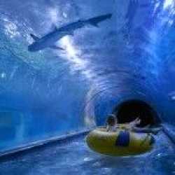 wycieczka fakultatywna